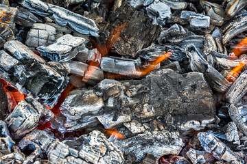 Burning wood with flame of fire