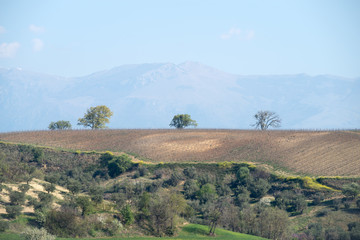 Fototapeta premium Rural landscape in Calabria region of Italy