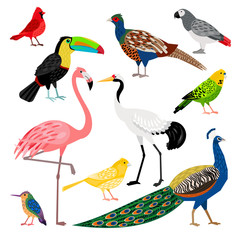 Wonderful set consisting of nice colored birds