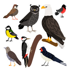 Wonderful set consisting of nice colored birds