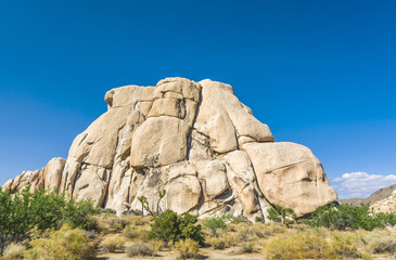 Fototapeta na wymiar rock formation in hidden valley in Joshua tree national park