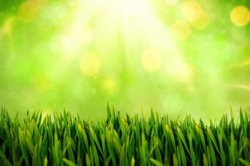Fototapeta na wymiar Composite image of grass growing outdoors