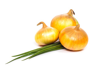 Fresh bulbs of onion and leaves on a white background