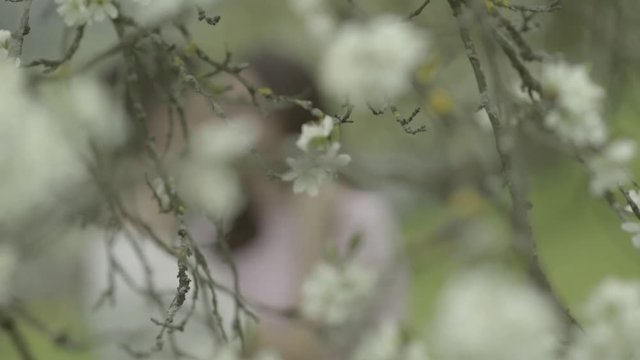 Verliebtes Paar k&uuml;sst sich hinter den Bl&uuml;ten