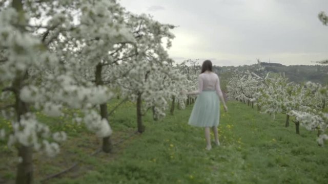 Junges verliebtes Paar im Kirschbl&uuml;tenfeld