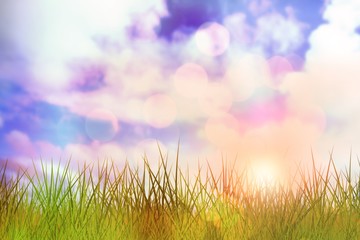 Composite image of grass against white background 