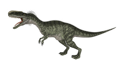 Obraz na płótnie Canvas 3D Rendering Dinosaur Monolophosaurus on White