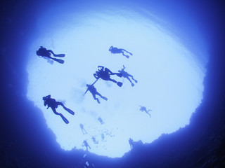 Fototapeta premium sea diving divers 