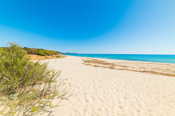 Sandy shore in Piscina Rei