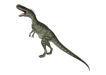 Fototapeta premium 3D Rendering Dinosaur Monolophosaurus on White