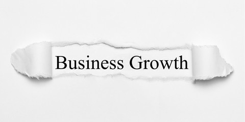 Obraz premium Business Growth on white torn paper