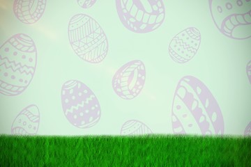Composite image of grass against white background 