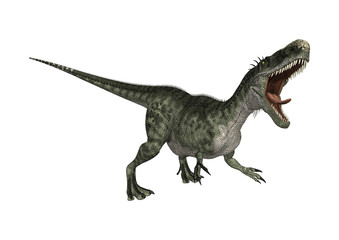 3D Rendering Dinosaur Monolophosaurus on White