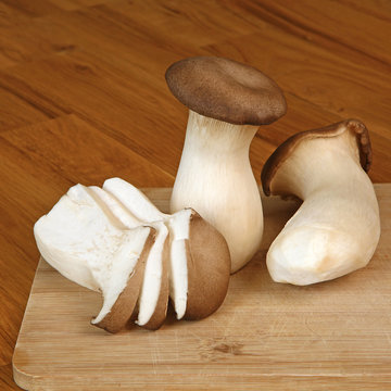 Champignons King oyster