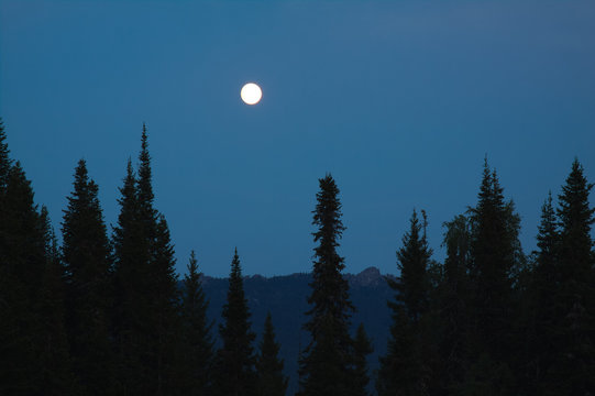 Fototapeta The moon over the mountains.