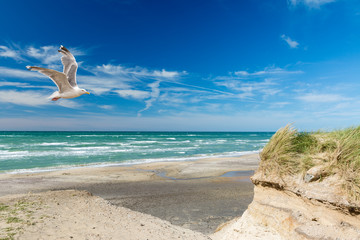 Küstenlandschaft Dänemark