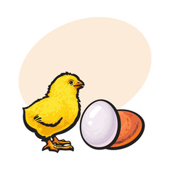 Little newborn chicken and whole brown egg, sketch style vector illustrationwith space for text Hand drawn, sketched illustration of little yellow chick and chicken egg
