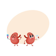 Pair of cute and funny healthy human kidney characters drinking milk and wine, cartoon vector illustration with space for text. Couple of healthy human kidney characters with drinks