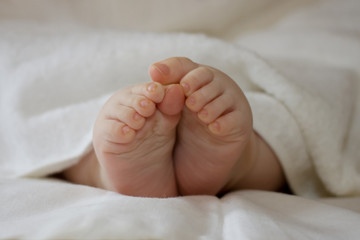 Baby legs on a white background