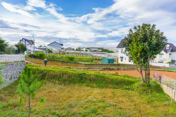 Farmer working in garden vegetable