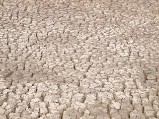 Barren ground horizontal
