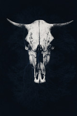 The menacing white bull skull on an abstract background - 143577188