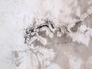 Fototapeta premium Grunge cement wall