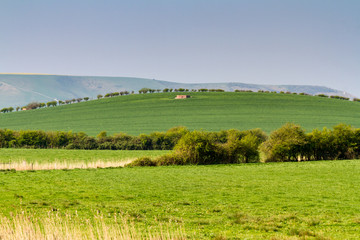 Fototapeta na wymiar Green Sussex Landscape