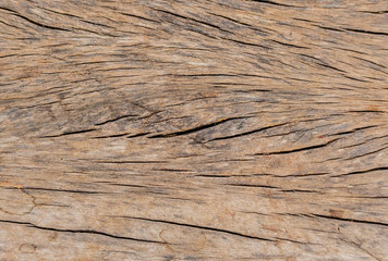 Dirty and old flooring for the background