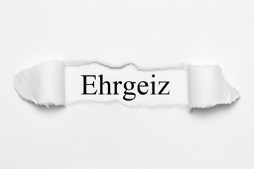 Ehrgeiz auf weißen gerissenen Papier