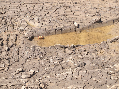 Barren ground horizontal
