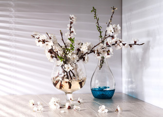 Still life with apricot blossom