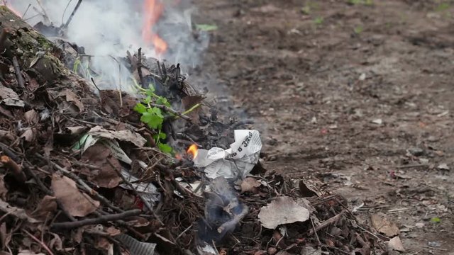 Burning dry leaves with smoke.Environmental pollution