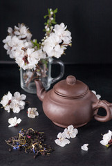 Obraz na płótnie Canvas Chinese teapot and flowers apricots