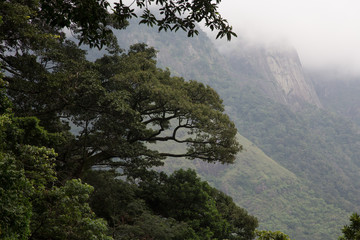 Hochland von Sri Lanka