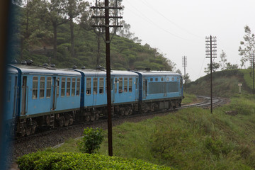 Naklejka premium Teeplantage in Sri Lanka