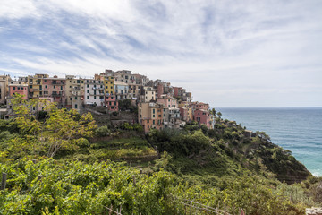 View of Corniglia, ligurian village, cinque terre, Italy.