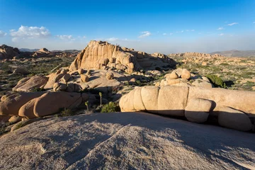 Sierkussen Natuurpark Joshua Tree National Park in California  © jon manjeot