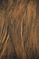 wet sand detail