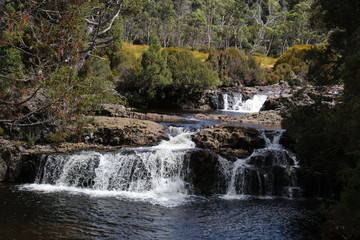 Fototapeta premium Wasserfall - Cradle-Mountain