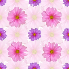 Seamless pattern with cosmos flower