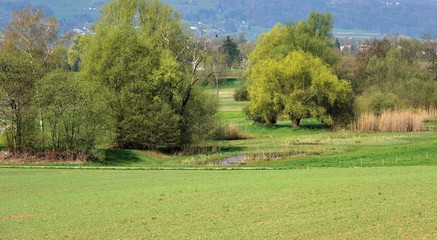 printemps ...oberland zurichois