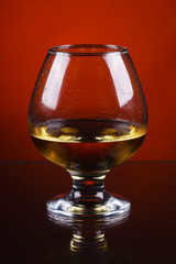 wineglass of cognac on a red gradient background