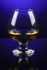 wineglass of cognac on a blue gradient background