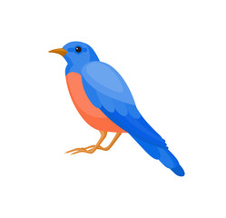 Bird with colorful feathers, isolated vector illustration