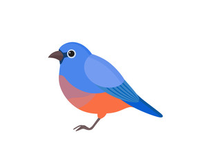 Bird with colorful feathers, isolated vector illustration
