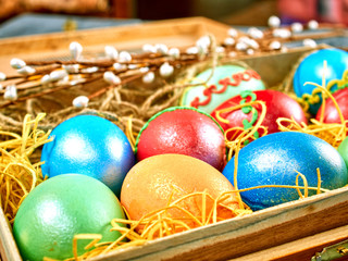 Easter Pussy-willow and Easter egg on authentic background. Happy Easter card