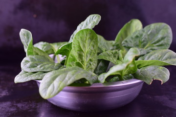 Fresh spinach leaves in a metal bowl on a dark abstract background. Healthy concept.
