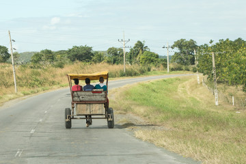 cuban  cart
