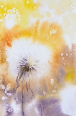 Dandelions on a field. Nature background. Picture created with watercolors.